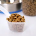 犬のご飯の量はどの…