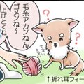 かわうそちわわ。（4…
