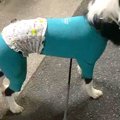 『おともだちのママ…