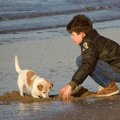 小学生による暴力行…