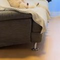 トイレから部屋に戻…