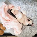 犬が『リラックス』…