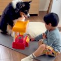 『小さな男の子と犬…