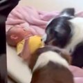 寝ていた赤ちゃんが…