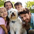 犬が『家族』に対し…