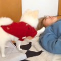 犬の前で妹がずっと…