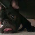 待って！○○を追いか…