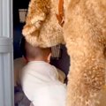 ハイハイする赤ちゃ…