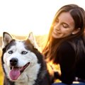 『大型犬』の知られ…