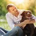 人気犬種ランキング…