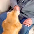 おじいちゃんが『家…