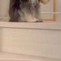 大きな雷が鳴り響い…