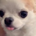 もし、帰宅したのが…