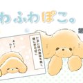 ふわふわぽこ。【第1…