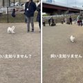 『うちの飼い主知り…