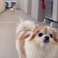 年の差はあるのに、…