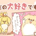 ただの犬好きです。…