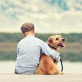 犬の供養の仕方３選