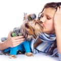 犬にとって無意味な…