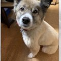 この視線から逃れら…