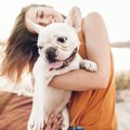 間違ってない？犬の…