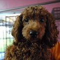 『こんなに素敵な出…