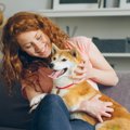犬が飼い主と会うた…