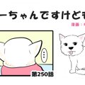 ちーちゃんですけど…