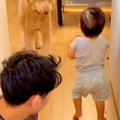 『大型犬に朝ごはん…