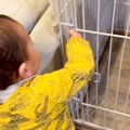 赤ちゃんがお母さん…