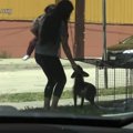 逃げ回った犬は、唯…