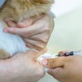 医薬品臨床試験に使…