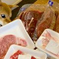 上質なお肉を柴犬に…