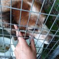 知らない場所で行方…