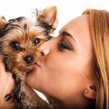 愛犬に『たかいたか…