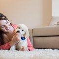 飼い主が愛犬を子供…