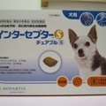 内部寄生虫予防＆フ…