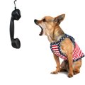 犬が飼い主の電話中…