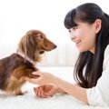 犬が床をひっかく理…
