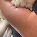 まだ散歩に行ったこ…