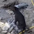 何があったのか…座っ…