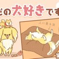 ただの犬好きです。…