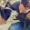 犬と人間の距離が近…