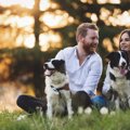 犬の多頭飼いで『仲…