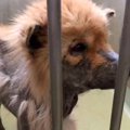 歯もない状態で山に…