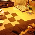 みんなのペット可賃…