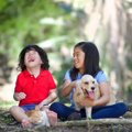 犬や猫と暮らしてい…