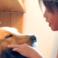 小学校から帰ったら…