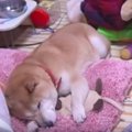 散らかったお部屋で…