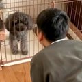 学校の友達と愛犬を…